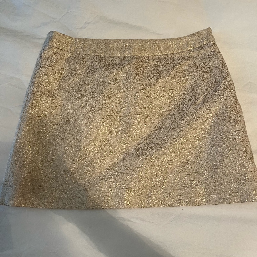 Banana Republic Skirt